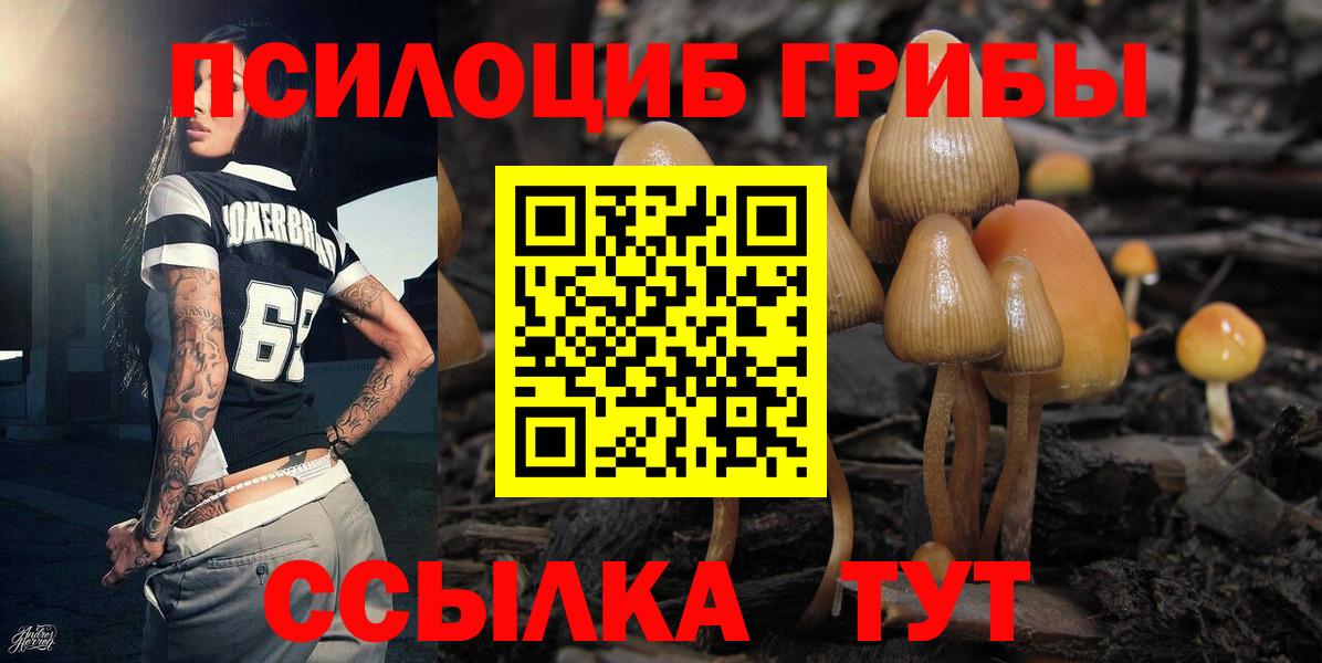 Каннабис Пенза