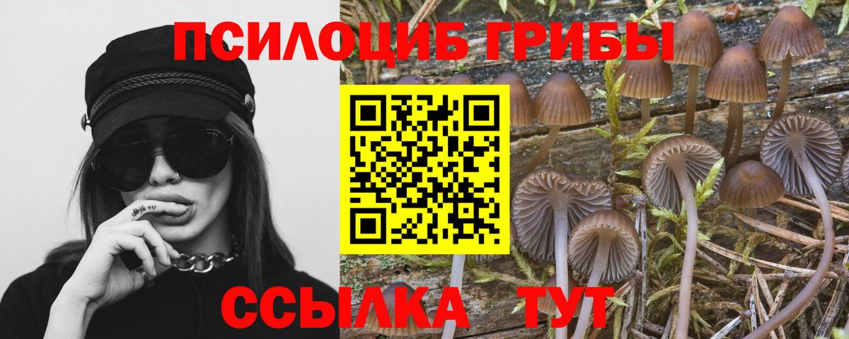 Псилоцибиновые грибы прущие грибы  Вход с VPN  Пенза 
